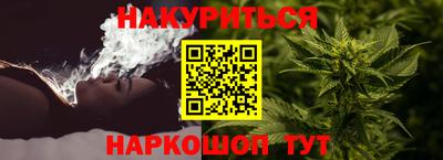 apvp Можга